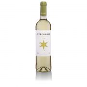 Peregrino Blanco - Bodegas Gordoncello - DO León - ¿Tomas Vino?